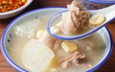 Chenpi Green Radish Duck