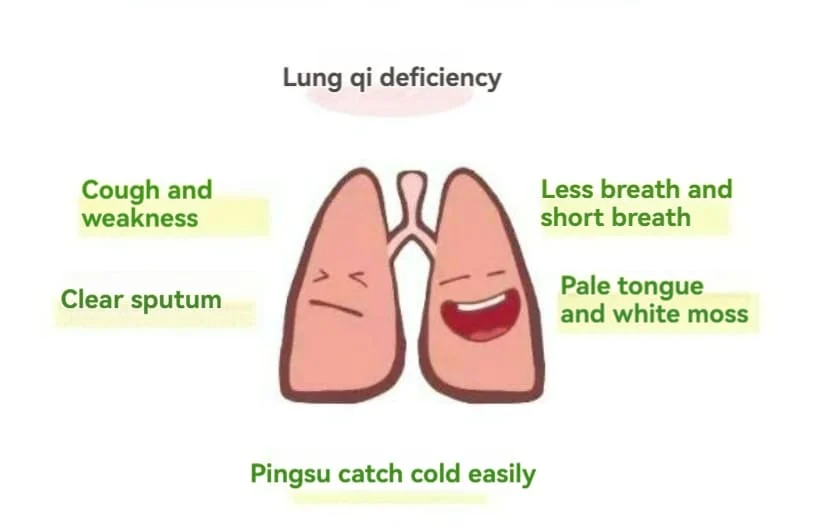 Illustration of Lung Qi Deficiency symptoms in Traditional Chinese Medicine (TCM), showing cough, short breath, pale tongue, and weak immunity.