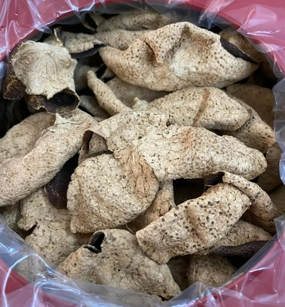 Ten-year-aged Xinhui Chenpi (dried tangerine peel) stored in a traditional container, showing its pale beige color and naturally rough texture — a mark of long-term aging.