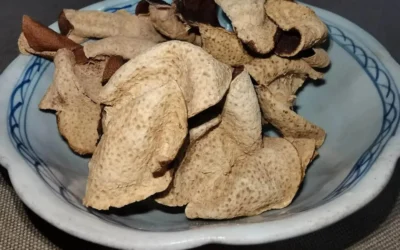 Sun-dried aged Xinhui Chenpi in a traditional ceramic bowl