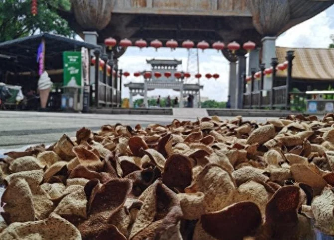 rows of sun-dried xinhui chenpi tangerine peels under a traditional chinese archway