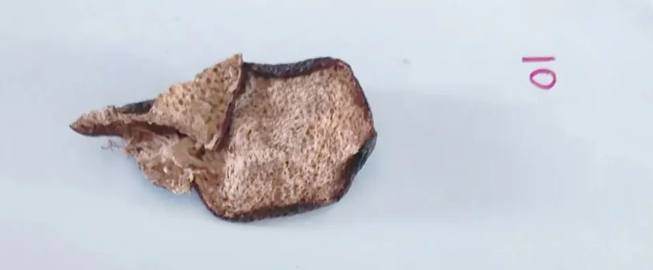 10-year xinhui chenpi dark glossy peel close up